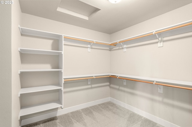 walk in closet featuring carpet floors and attic access