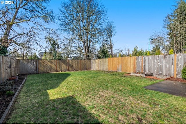 view of yard featuring a fenced backyard