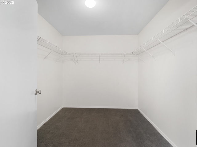 15325 NW Central Dr Unit 301, Portland, OR 97229 - spacious closet featuring dark carpet