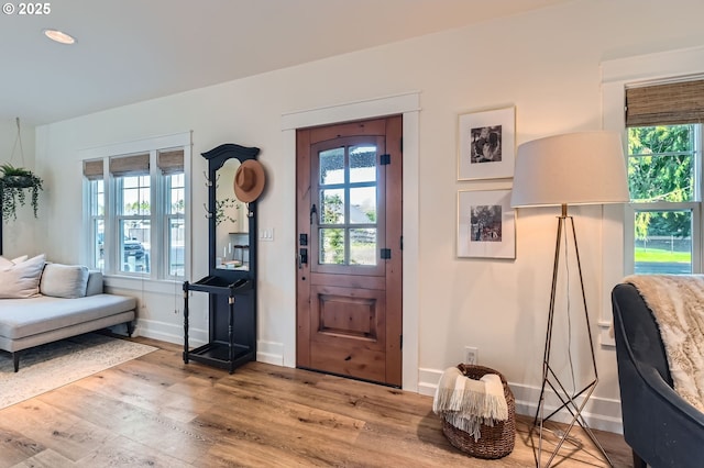 foyer featuring baseboards, a wealth of natural light, and wood finished floors