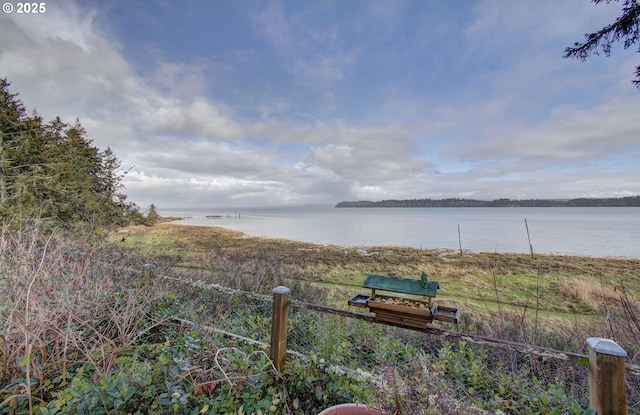 view of yard featuring a water view