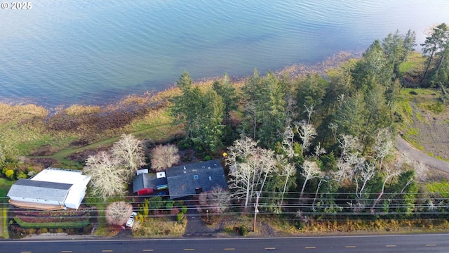 drone / aerial view with a water view