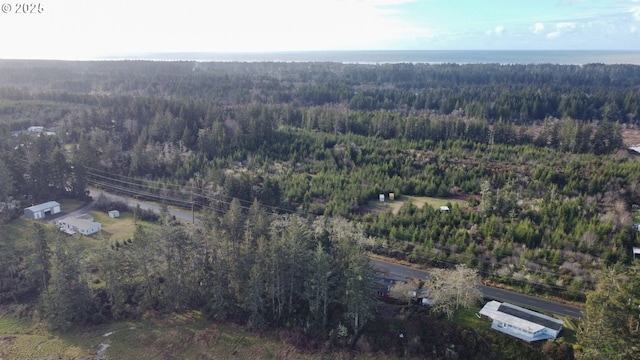 bird's eye view with a forest view