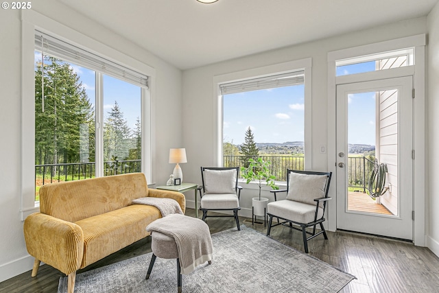 39313 NE 143rd Pl, Amboy, WA 98601 - sitting room featuring baseboards, wood finished floors, and a wealth of natural light