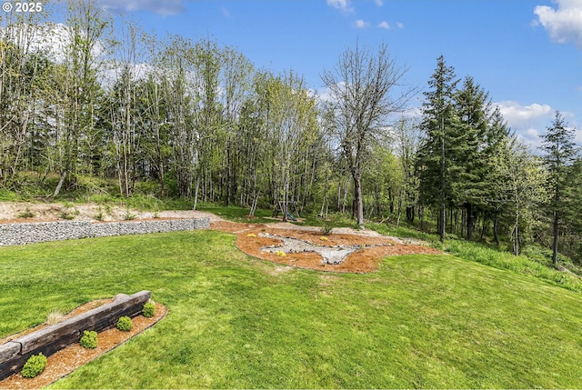 39313 NE 143rd Pl, Amboy, WA 98601 - view of yard