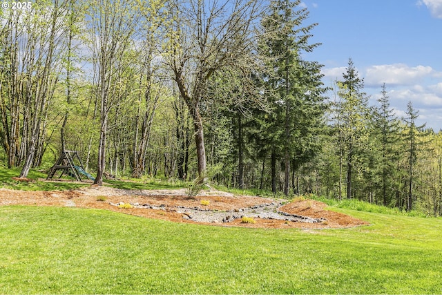 39313 NE 143rd Pl, Amboy, WA 98601 - view of yard