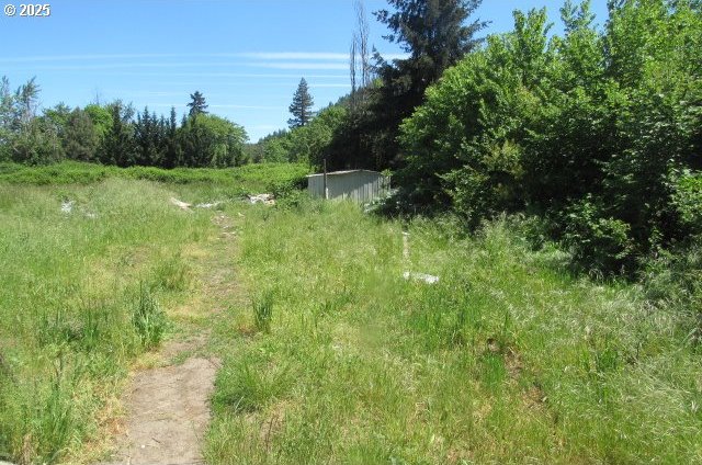 509 Dyke Rd, Dillard, OR 97432 - view of landscape featuring a forest view