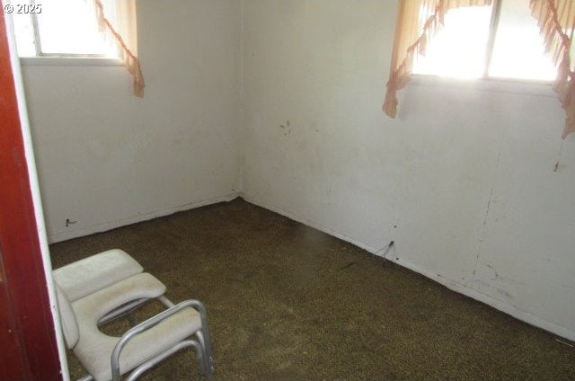 509 Dyke Rd, Dillard, OR 97432 - empty room with carpet flooring
