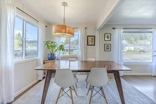 dining space featuring baseboards and wood finished floors