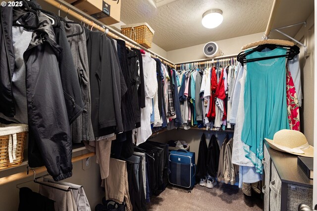 walk in closet with carpet