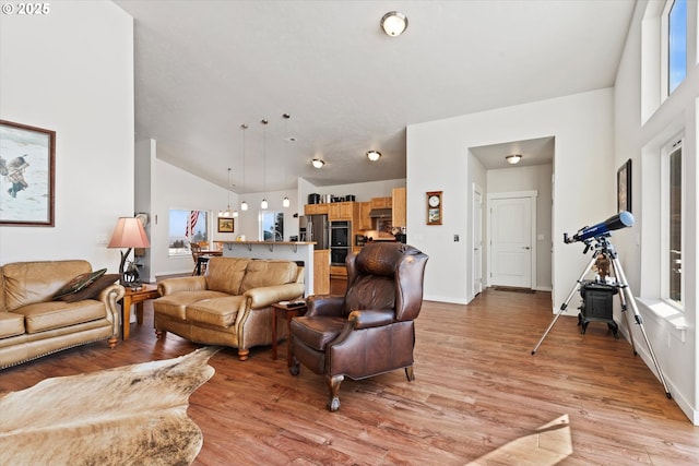 living room with light hardwood / wood-style floors and lofted ceiling