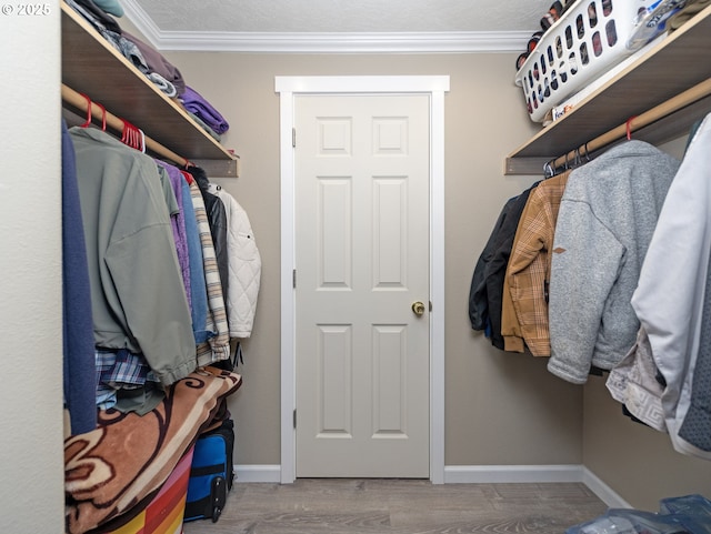 walk in closet with hardwood / wood-style flooring