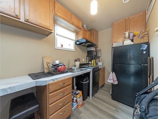 kitchen featuring sink, light wood-type flooring, and black appliances