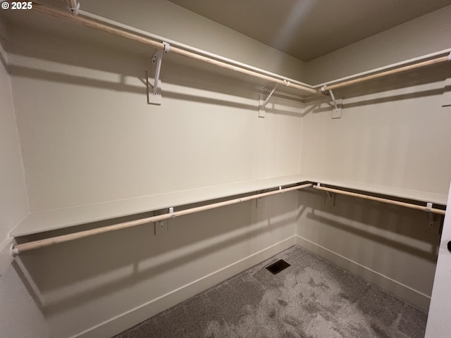 spacious closet featuring carpet floors