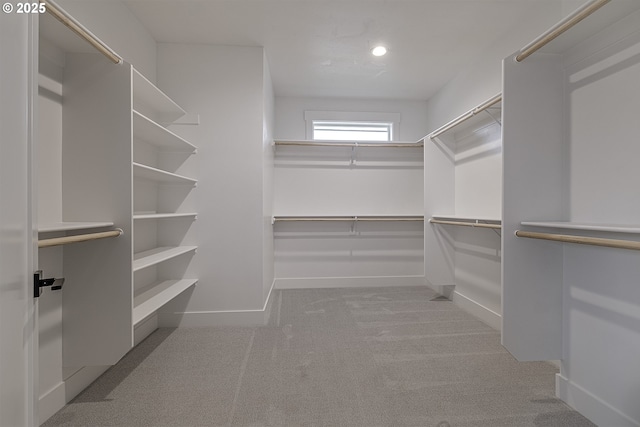 spacious closet with carpet flooring