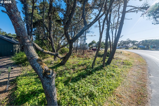 2017 NW Bayshore Dr, Waldport OR, 97394 land for sale