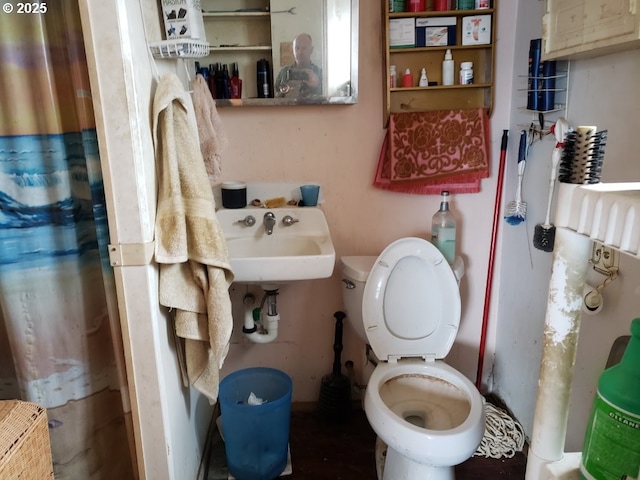 bathroom featuring toilet and a sink