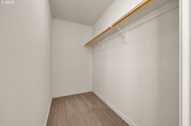 walk in closet with light colored carpet