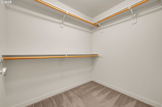 walk in closet with carpet flooring
