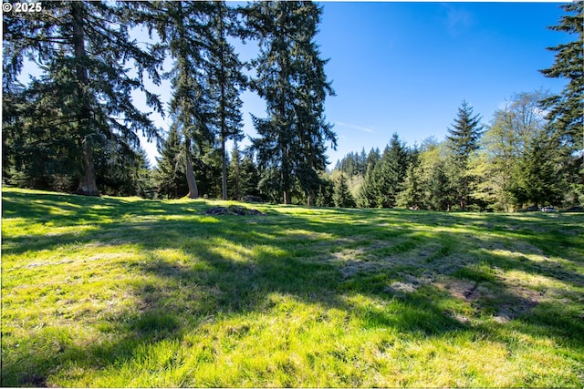 view of green lawn featuring a view of trees
