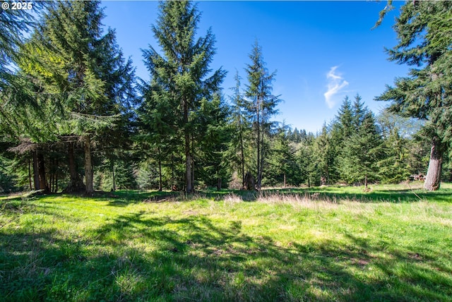 view of yard featuring a wooded view