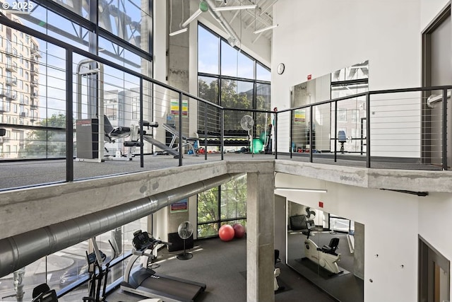 workout area featuring a towering ceiling