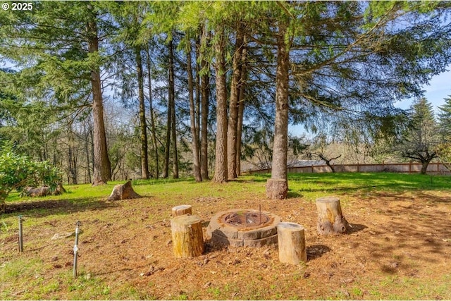 view of yard with a fire pit