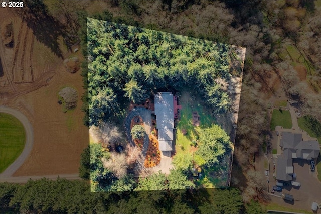 aerial view