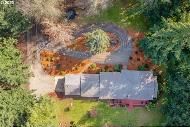 bird's eye view