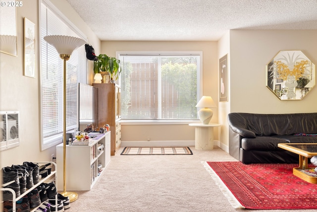 living area with carpet, a textured ceiling, and baseboards