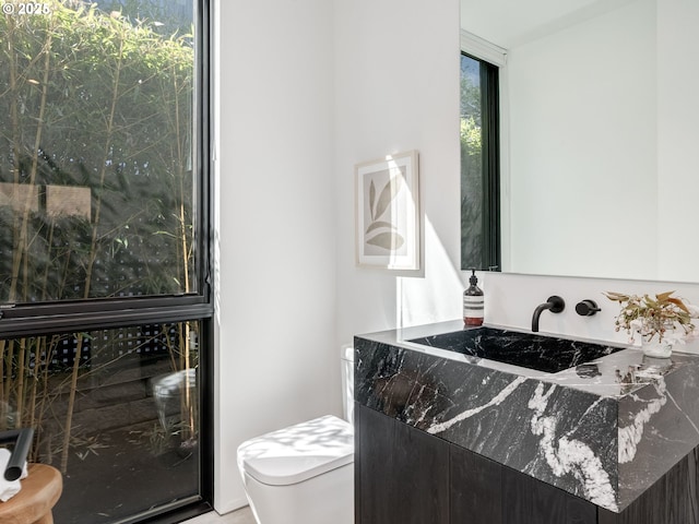 bathroom with toilet and vanity