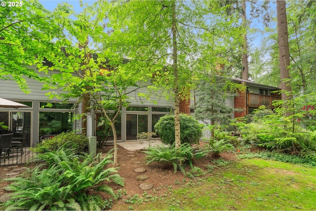 view of yard with a patio