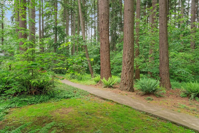 view of yard featuring a view of trees