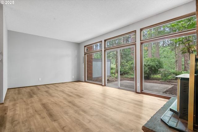 spare room featuring healthy amount of natural light and wood finished floors