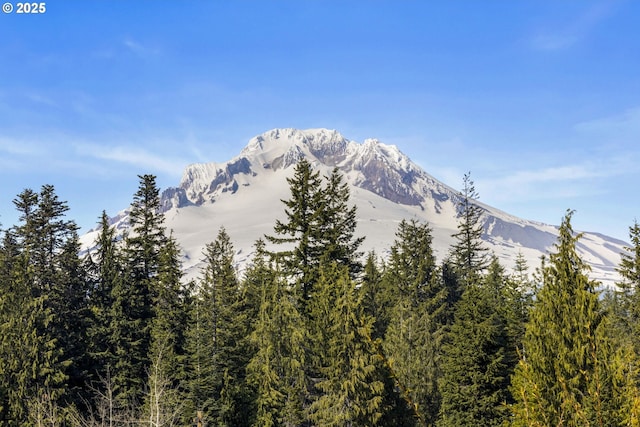 property view of mountains with a wooded view