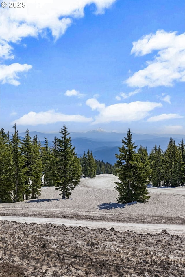surrounding community with a mountain view and a wooded view