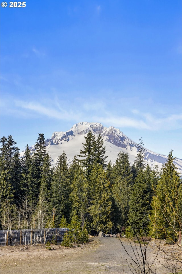 property view of mountains with a wooded view