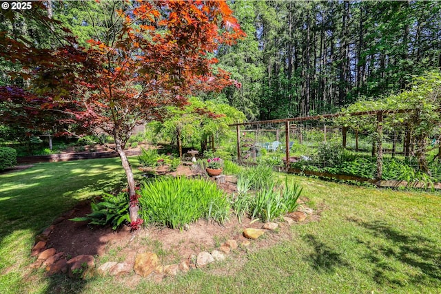 view of yard with a vegetable garden