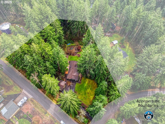 bird's eye view with a forest view