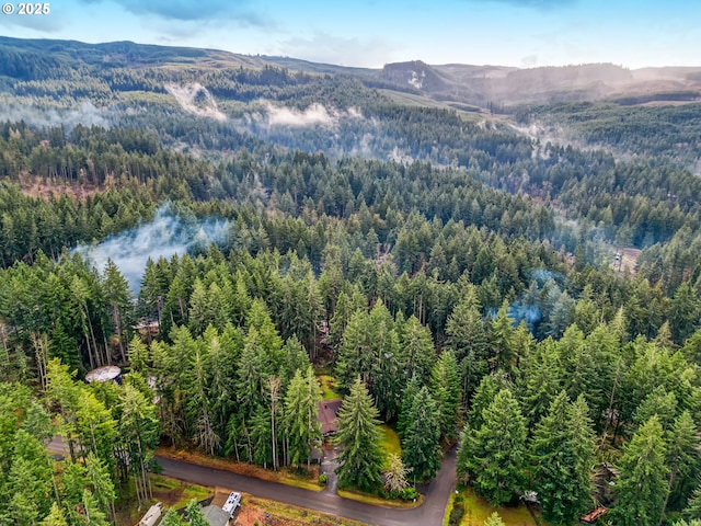 aerial view featuring a mountain view and a view of trees