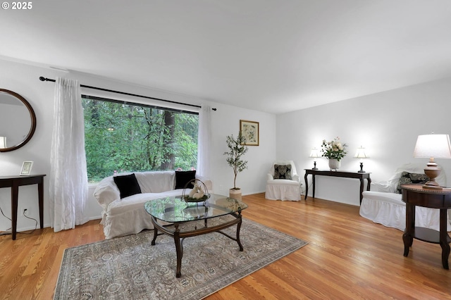 living room featuring wood finished floors