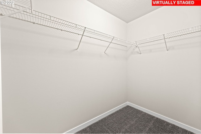 walk in closet with carpet