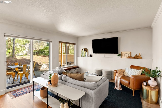 living room with a textured ceiling, wood finished floors, and ornamental molding