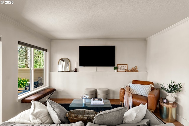 living room with a textured ceiling, wood finished floors, and crown molding