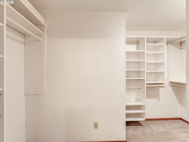 spacious closet featuring light carpet