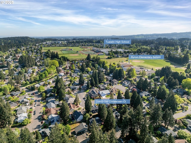 drone / aerial view