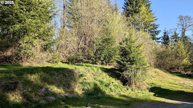 view of nature