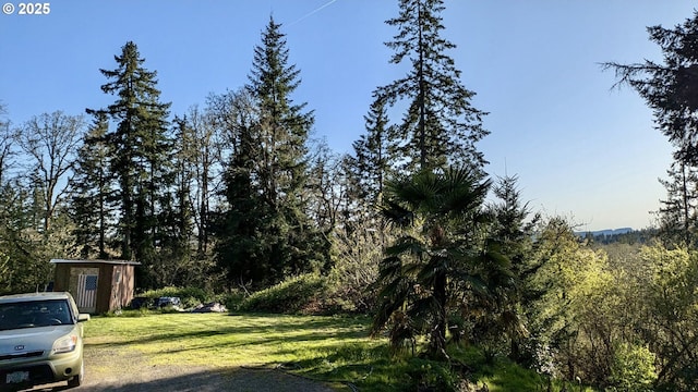 view of yard featuring an outbuilding