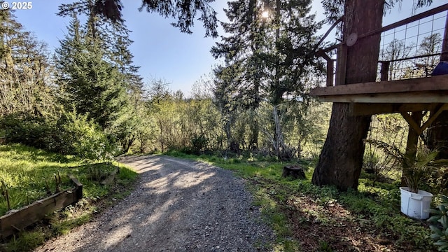view of street with a wooded view