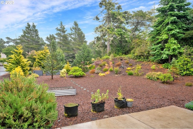 5030 Heceta Park Way, Florence, OR 97439 - view of yard